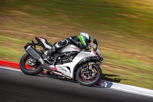 2025 KAWASAKI NINJA ZX 6R NON-ABS WHITE / GRAY 010191